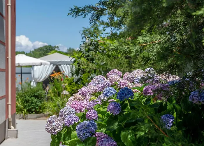 Vermoni 21 3* צ'רנומורץ